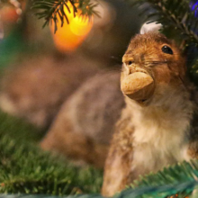 squirrel in christmas tree